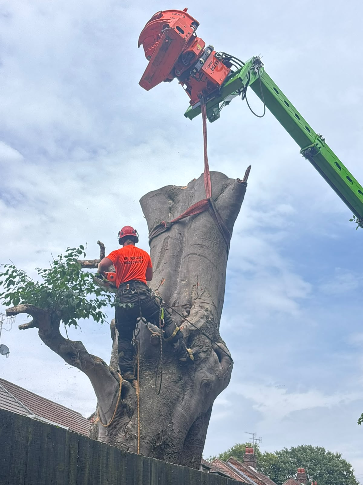 DW Treecare climber cutting a huge trunk section while a crane grab lifts it away over a garden fence