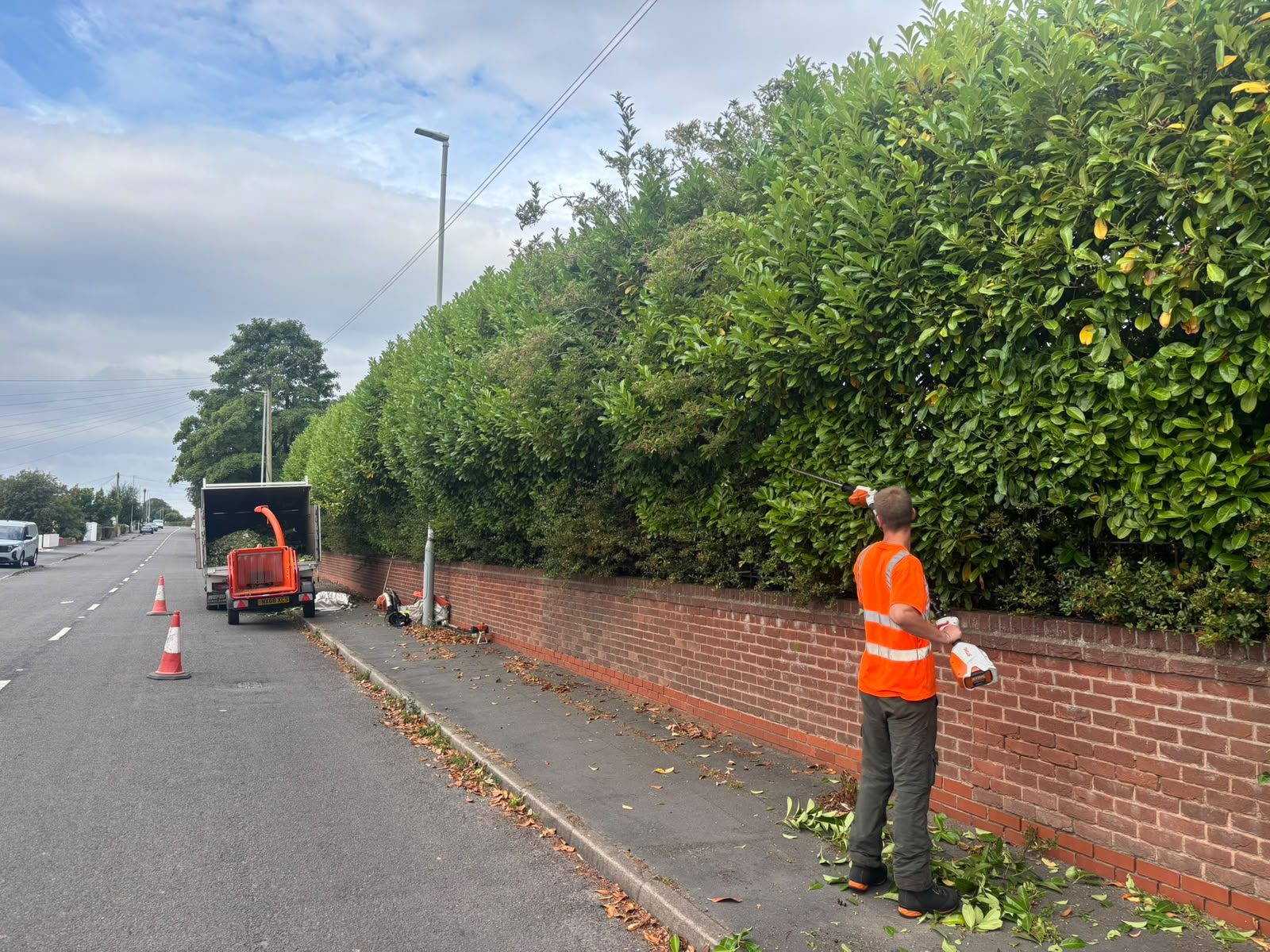Tree surgeon trimming a tall laurel hedge along a roadside wall in Merseyside